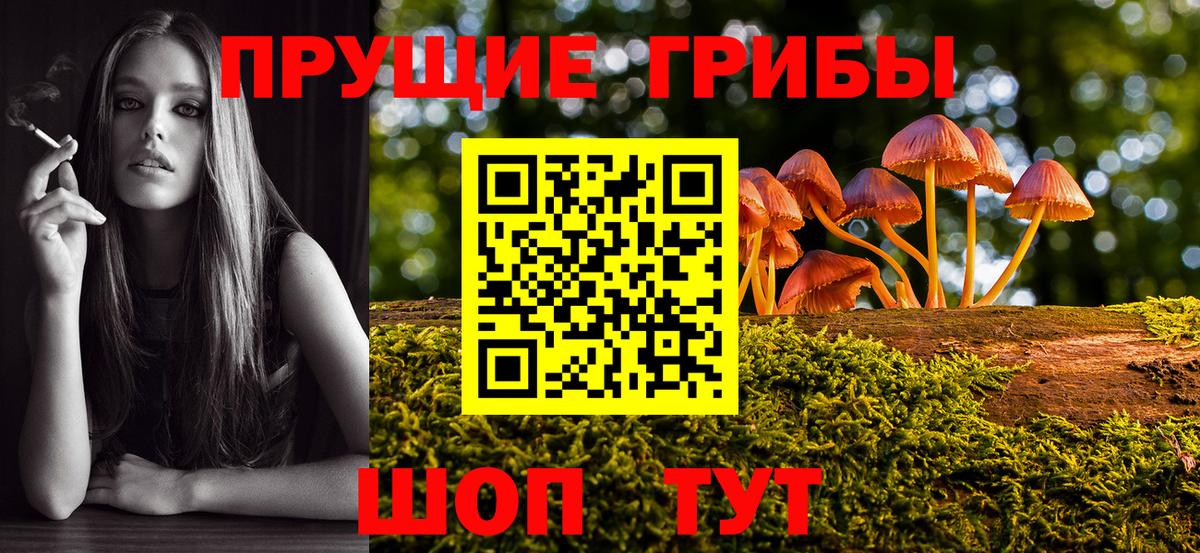 Галлюциногенные грибы прущие грибы Вышний Волочёк